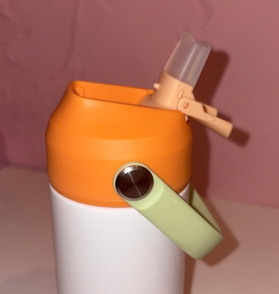 Dinosaur 12oz Water Bottle