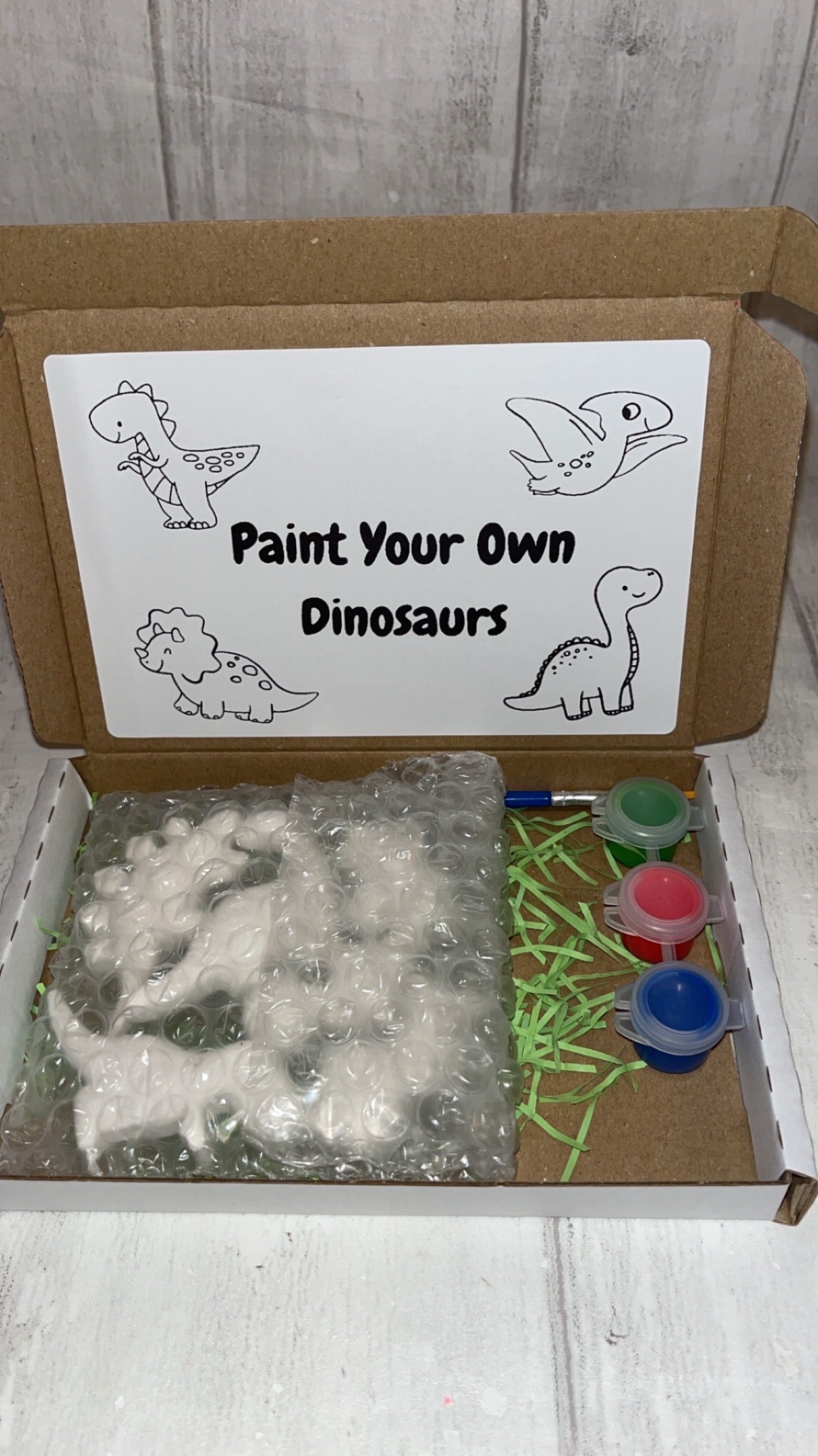 Dinosaur Themed Paint Set