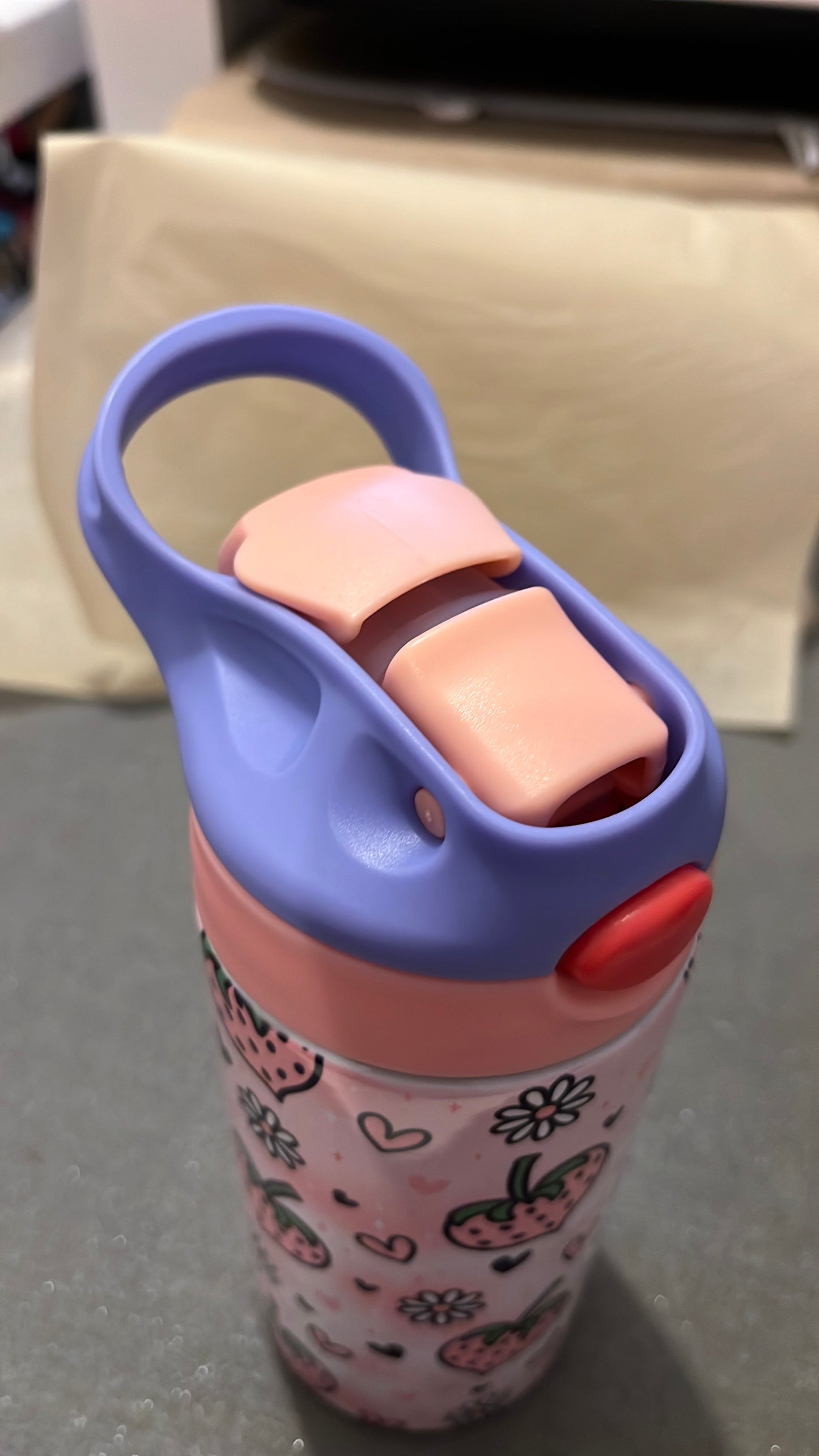 Pink Strawberry Heart Children’s Water Bottle
