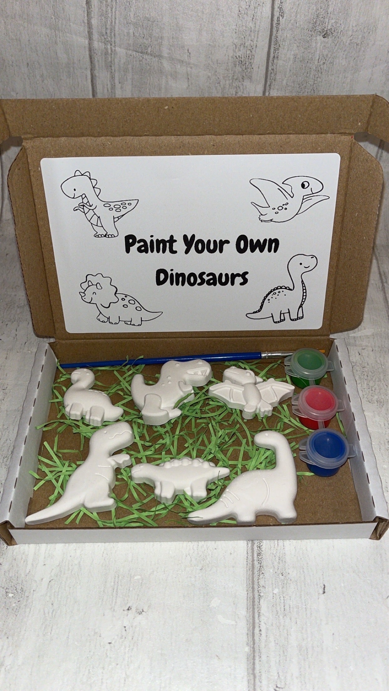 Dinosaur Themed Paint Set