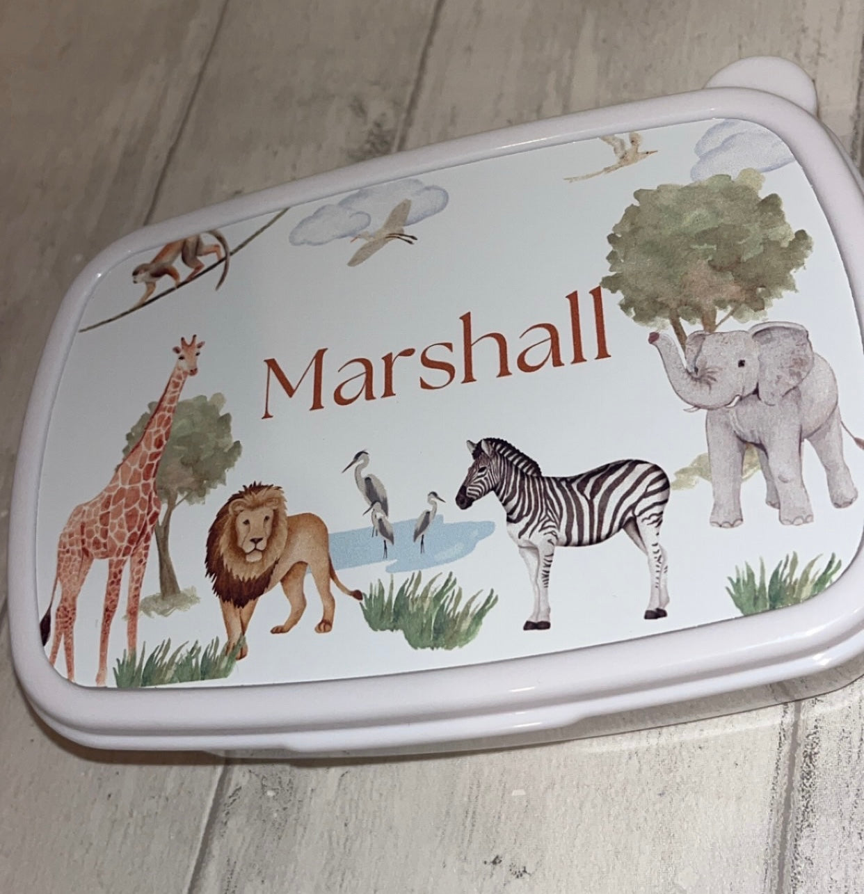 Personalised Safari Lunch/Snack Box