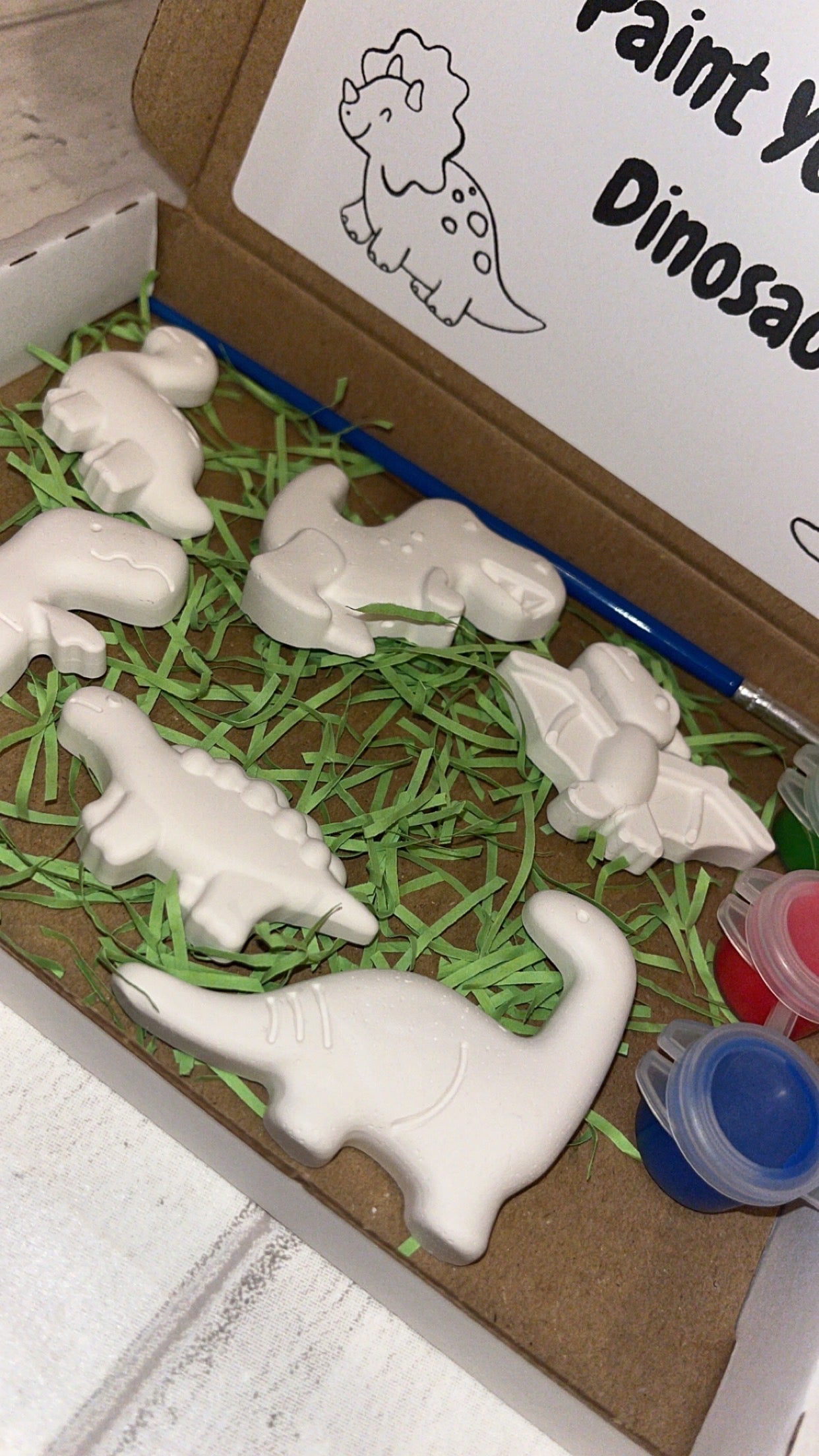 Dinosaur Themed Paint Set