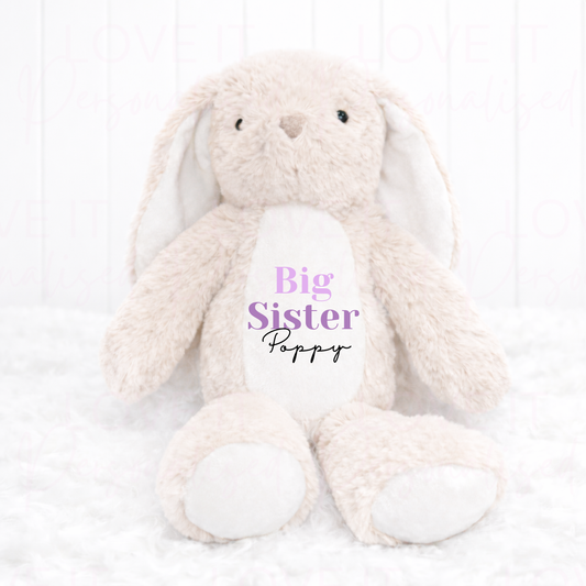 Personalised Big/Little Sister Teddy