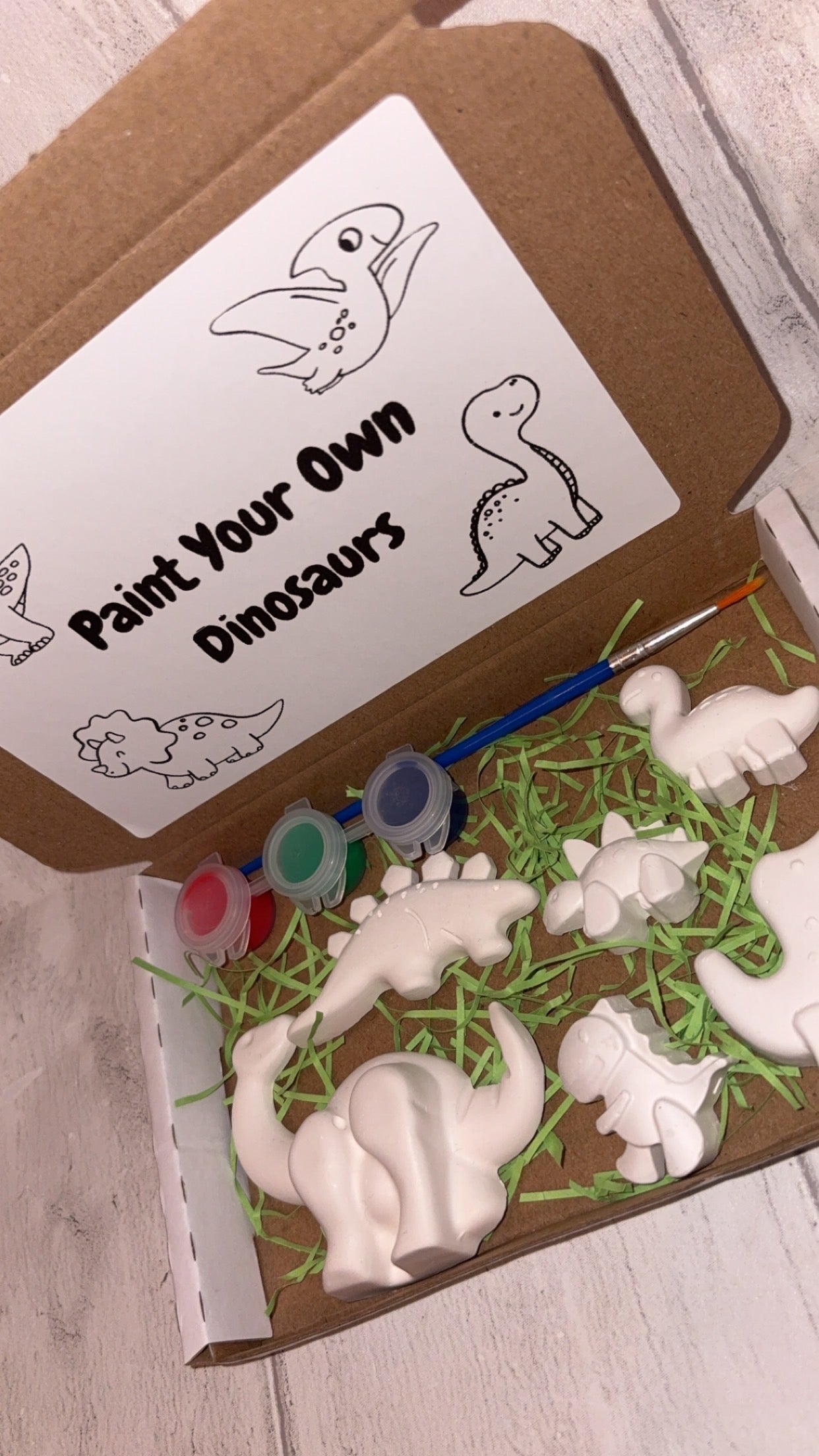 Dinosaur Themed Paint Set