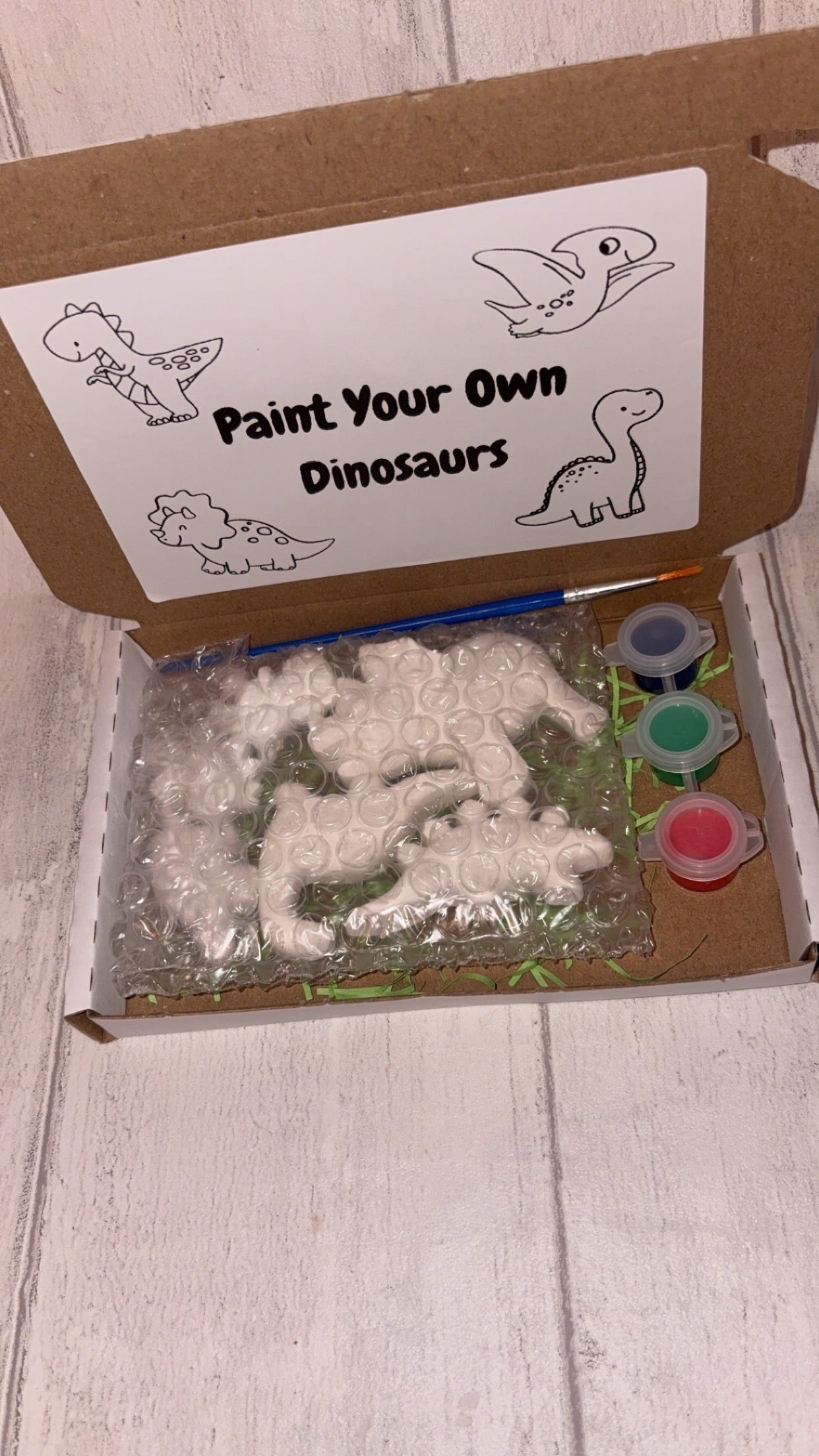 Dinosaur Themed Paint Set