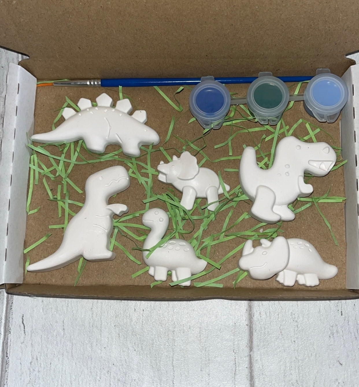 Dinosaur Themed Paint Set